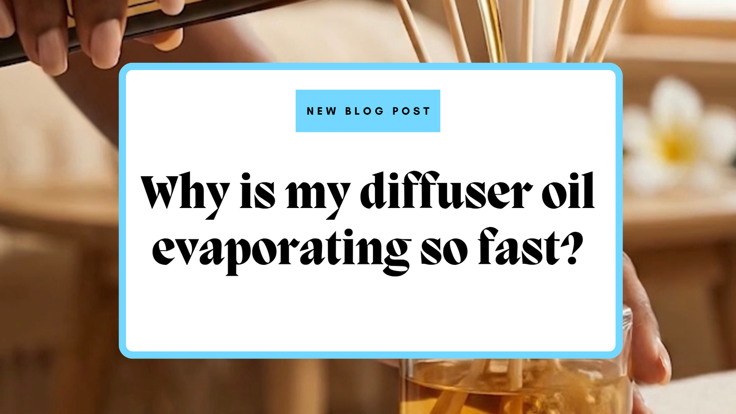Why is my diffuser oil evaporating so fast?