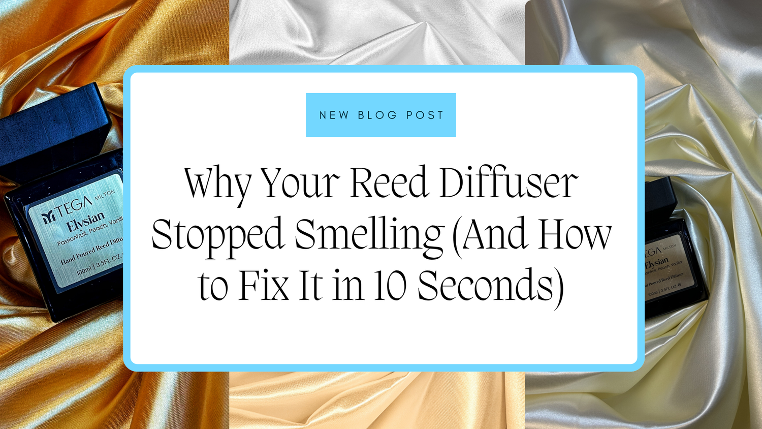 Why Your Reed Diffuser Stopped Smelling (And the 10-Second Fix)