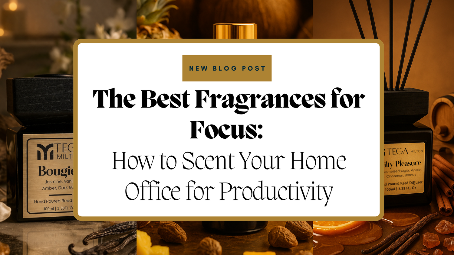 The Best Fragrances for Focus: How to Scent Your Home Office for Productivity