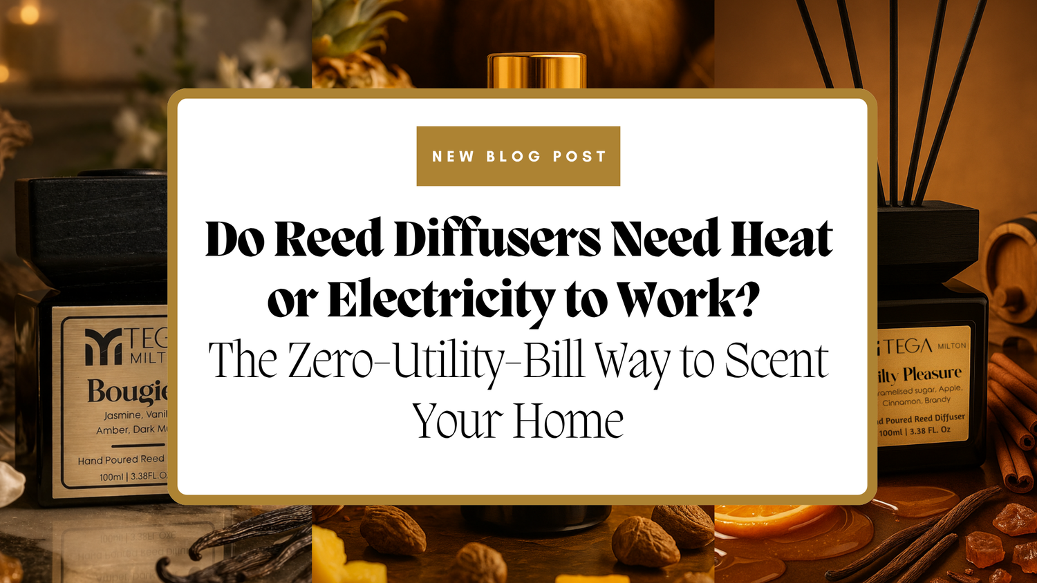 Do Reed Diffusers Need Heat or Electricity to Work? The Zero-Utility-Bill Way to Scent Your Home