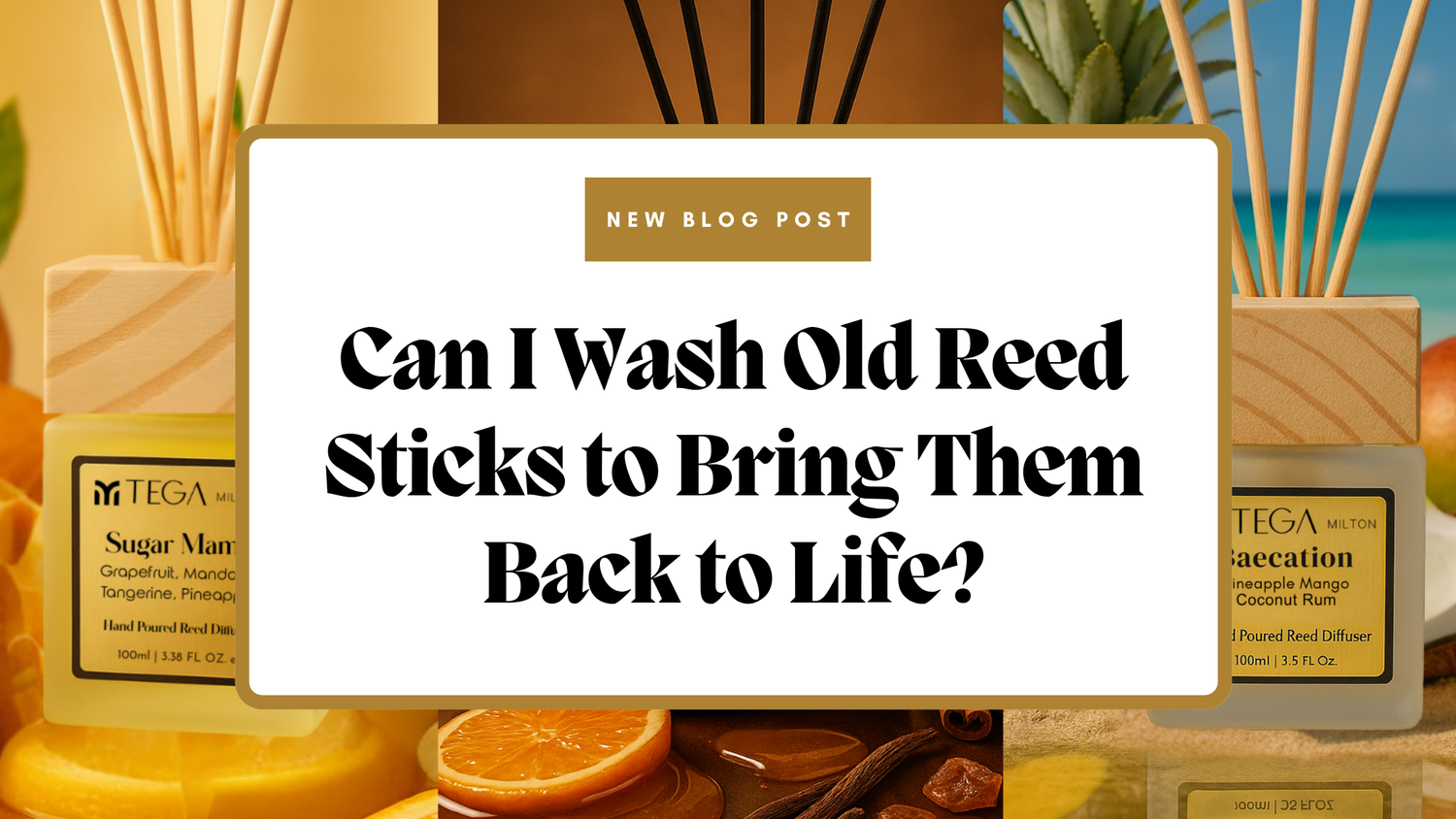 Can I Wash Old Reed Sticks to Bring Them Back to Life?