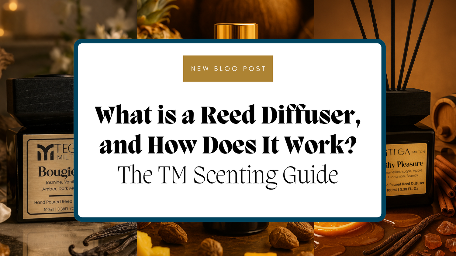 What is a Reed Diffuser, and How Does It Work? The TM Scenting Guide